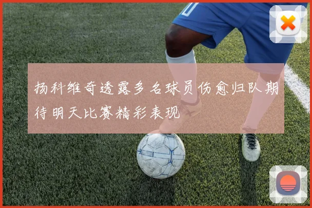 扬科维奇透露多名球员伤愈归队期待明天比赛精彩表现