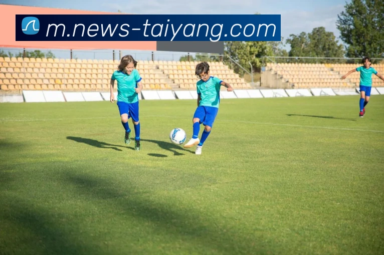 App Interface Preview