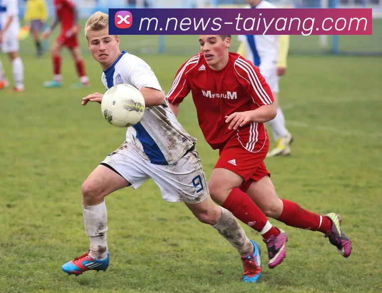 太阳城APP 封面图